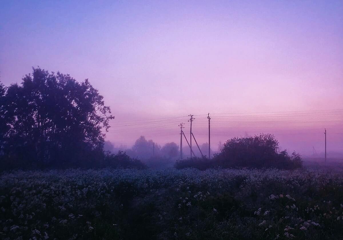 走进IM电竞官网，开启你的电竞新纪元